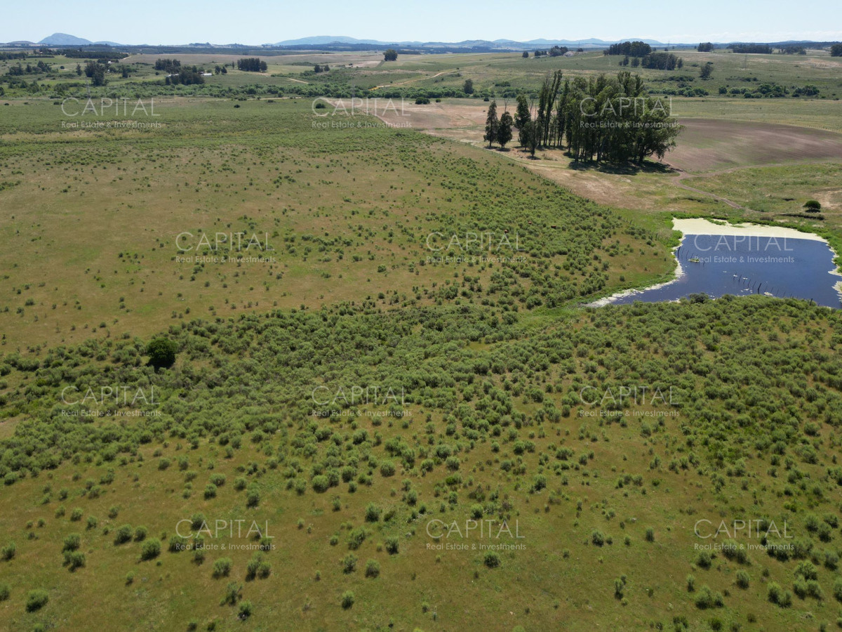 Campo Ref.37223 - Campo en venta en Laguna del Sauce, Punta del Este