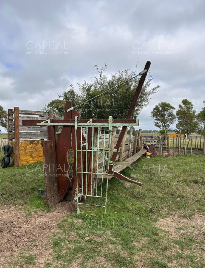 Campo Ref.37314 - Venta Campo Sarandí Grande Florida