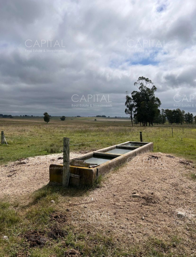 Campo Ref.37314 - Venta Campo Sarandí Grande Florida