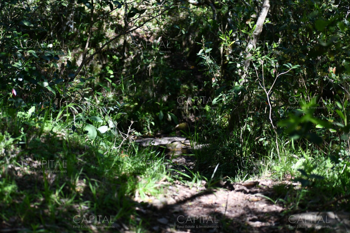 Campo Ref.37865 - Campo 78has. ganadero-turístico Ruta 60