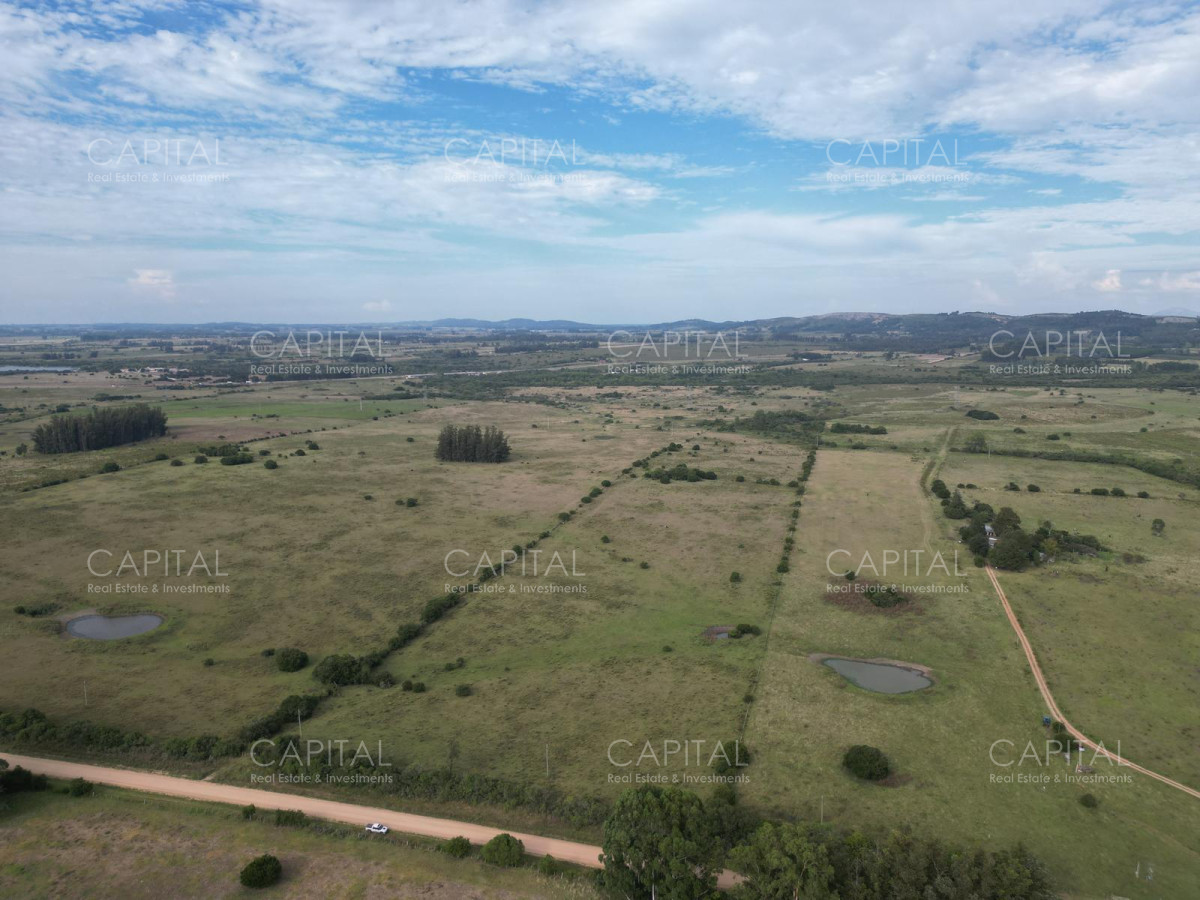 Campo de 23 has zona Abras de Perdomo  - CCP37914P