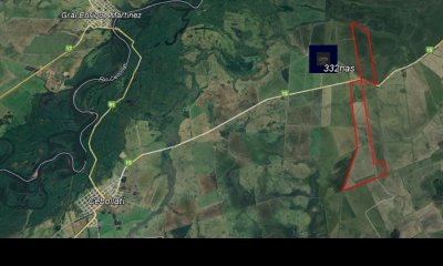 Oportunidad venta en exclusiva - Campo 332 has Agrícolas-Ganaderas- Rocha