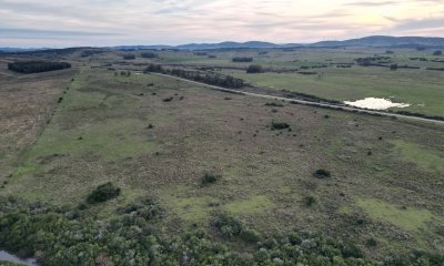 Campo de114 has próximo a San Carlos