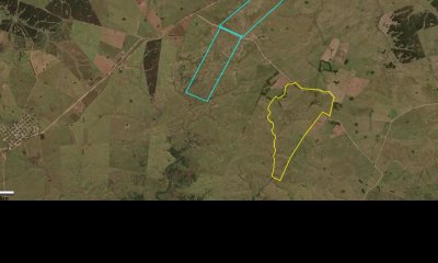 Campo Ganadero- Forestal  600 Has