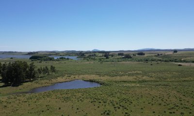 ESPECTACULAR CAMPO DE 124 has . LAGUNA DEL SAUCE