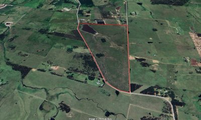 Tierra en Venta para Desarrollar Próximo a Fasano y El Quijote