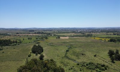 Campo  87 has , Ideal para fraccionamiento de chacras