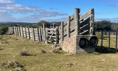 Campo 80 has - Valdivias