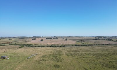Campo +100 has -