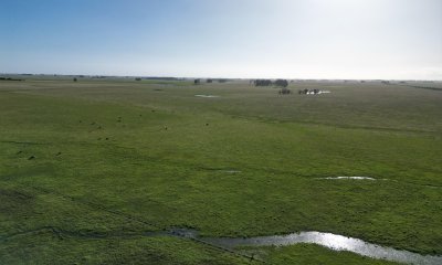 Campo agrícola ganadero - Cerro Largo