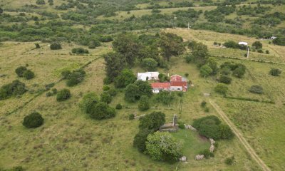 CAMPO 65 has sobre ruta 39