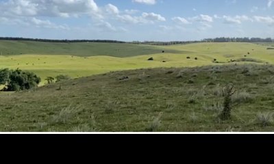 Campo Ganadero-Forestal 300 has