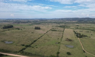 Campo de 23 has zona Abras de Perdomo