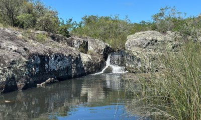 Campo 50 has próximo a Aiguá