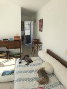 oportunidad local vivienda en la barra montoya  - ccp29503l