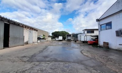 Local comercial con cámaras de frío ideal para distribuidora en Maldonado