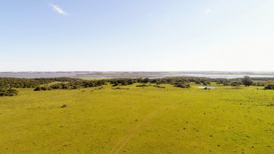 lote de 108 hectareas en el caracol - garzon - ccp29941t