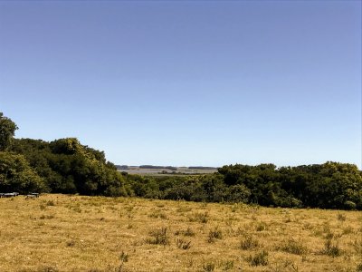 lote de 108 hectareas en el caracol - garzon - ccp29941t