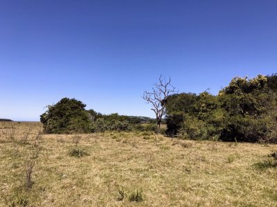 lote de 108 hectareas en el caracol - garzon - ccp29941t