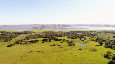 lote de 108 hectareas en el caracol - garzon - ccp29941t