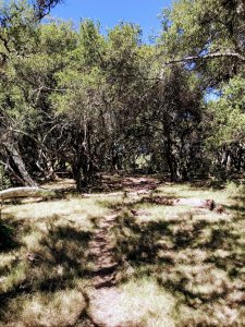 lote de 108 hectareas en el caracol - garzon - ccp29941t