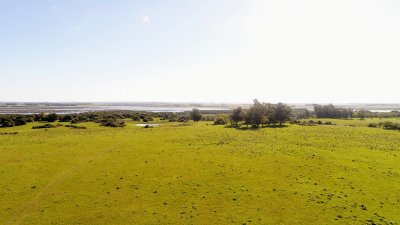 lote de 108 hectareas en el caracol - garzon - ccp29941t