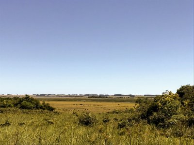 lote de 108 hectareas en el caracol - garzon - ccp29941t