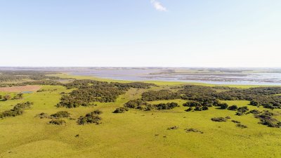 lote de 108 hectareas en el caracol - garzon - ccp29941t