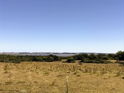 lote de 108 hectareas en el caracol - garzon - ccp29941t