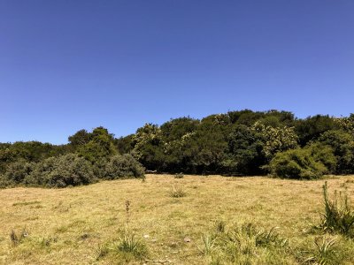 lote de 108 hectareas en el caracol - garzon - ccp29941t