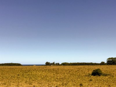 lote de 108 hectareas en el caracol - garzon - ccp29941t