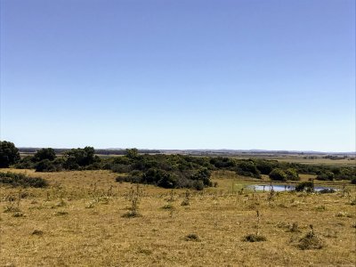 lote de 108 hectareas en el caracol - garzon - ccp29941t