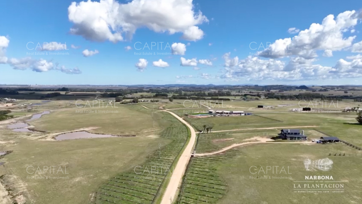 Terreno ID.35937 - Venta de chacra en Barrio Privado, La Barra ruta 104 
