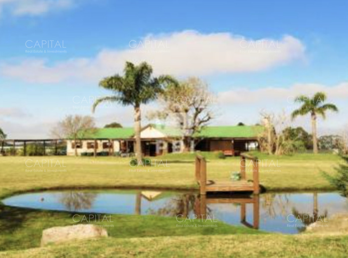 El Quijote: Terreno de 5005 m² en La Barra - CCP39251T
