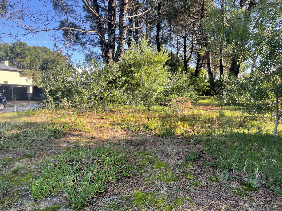 Venta de terreno en Pinar Del Faro, José Ignacio  - CCP35013T
