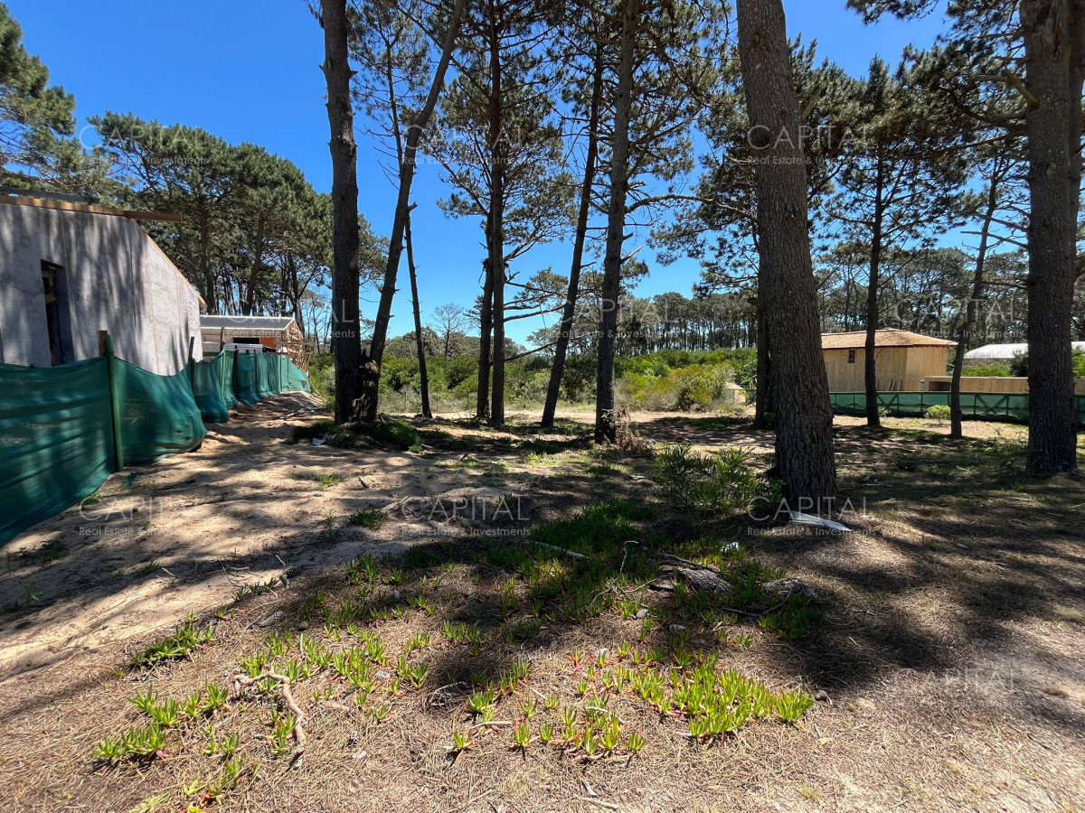 Terreno Pinar Del Faro José Ignacio  - CCP37115T