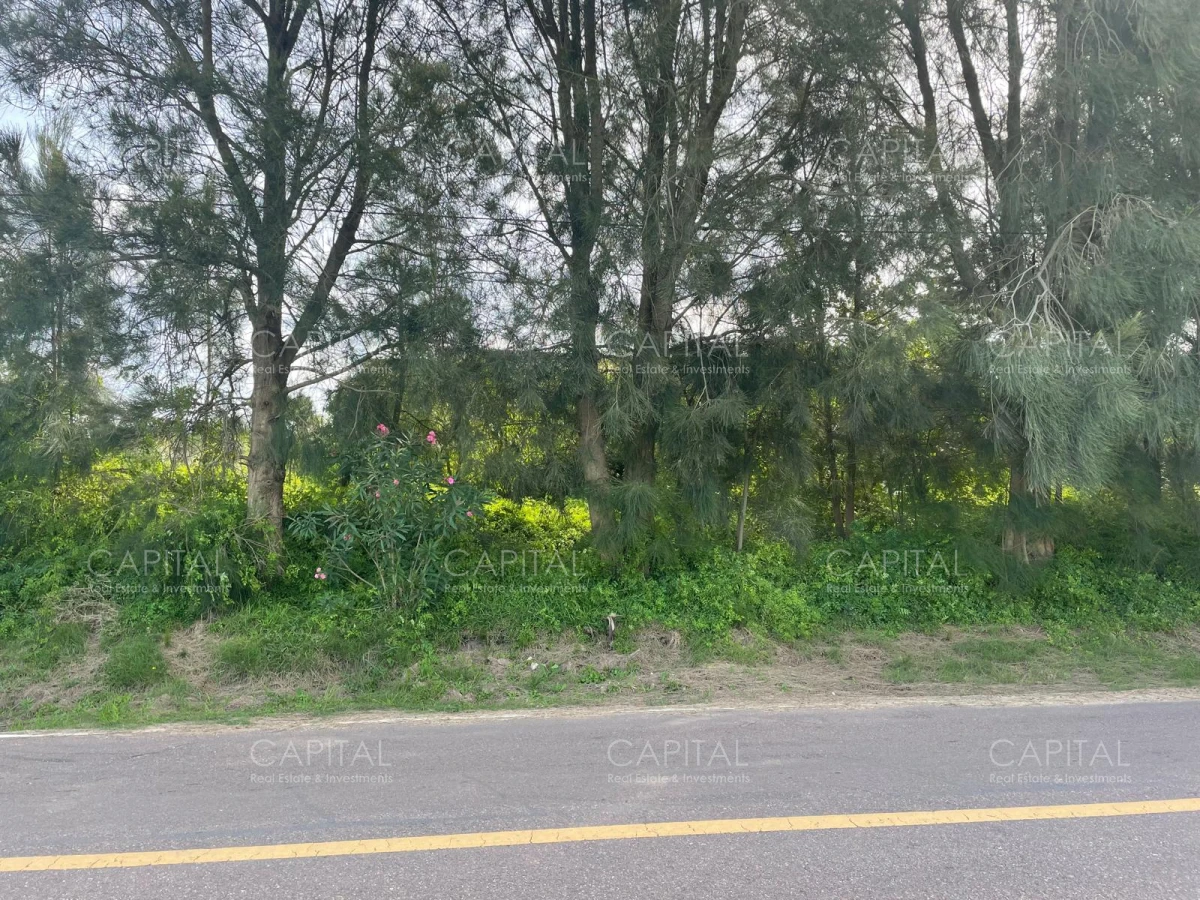 Terreno ID.37927 - Terreno alto en venta en zona El Chorro Manantiales