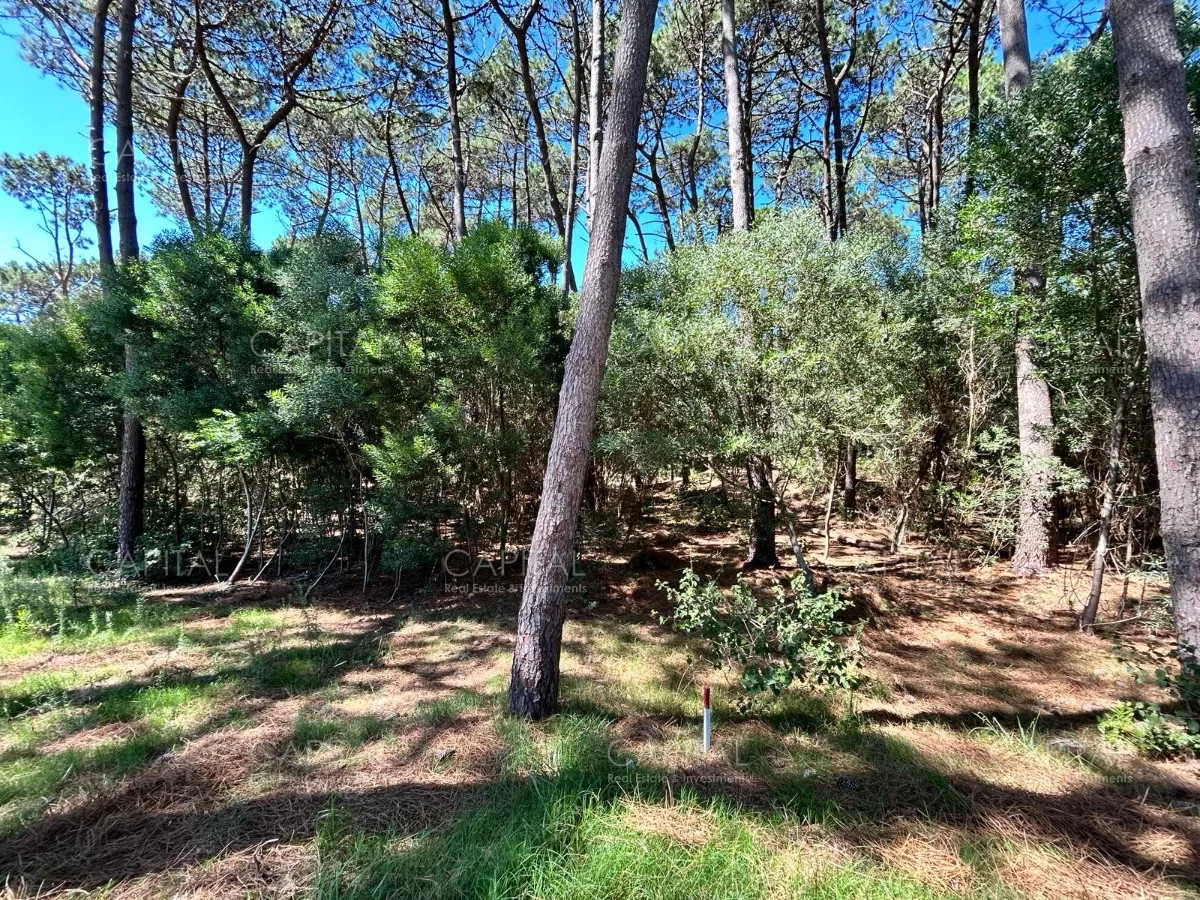 Terreno ID.37787 - Lote en Reserva de Montoya La Barra