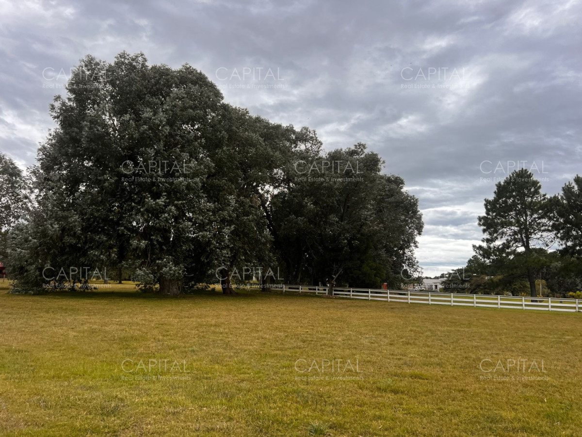 Terreno ID.38468 - Terreno en venta en Barrio cerrado de La Barra