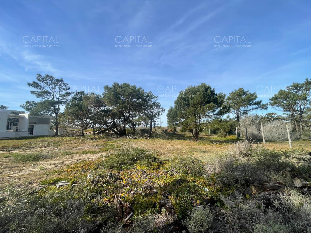 Terreno ID.32209 - Laguna Escondida barrio privado Jose Ignacio 