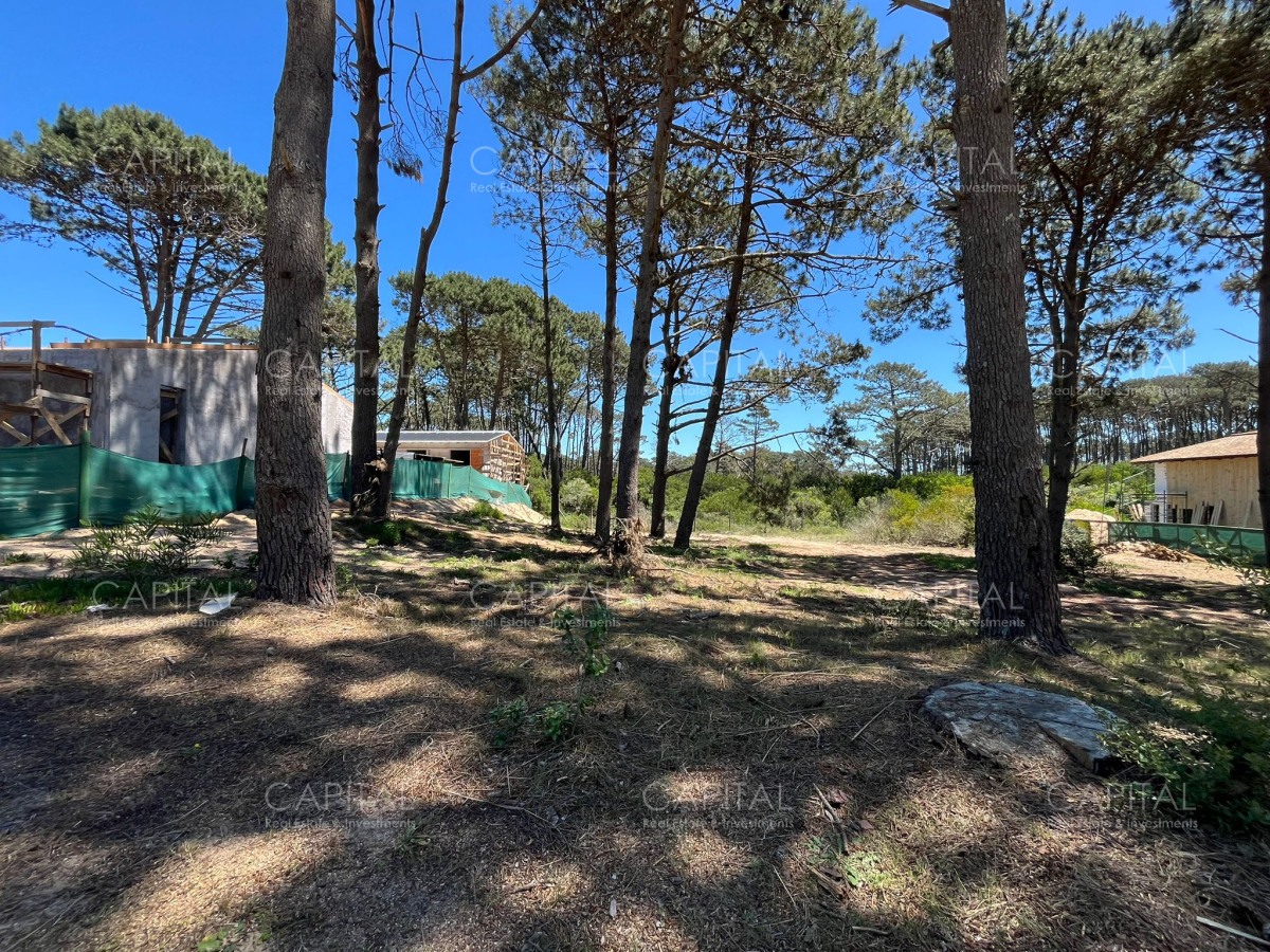 Terreno ID.37115 - Terreno Pinar Del Faro José Ignacio 