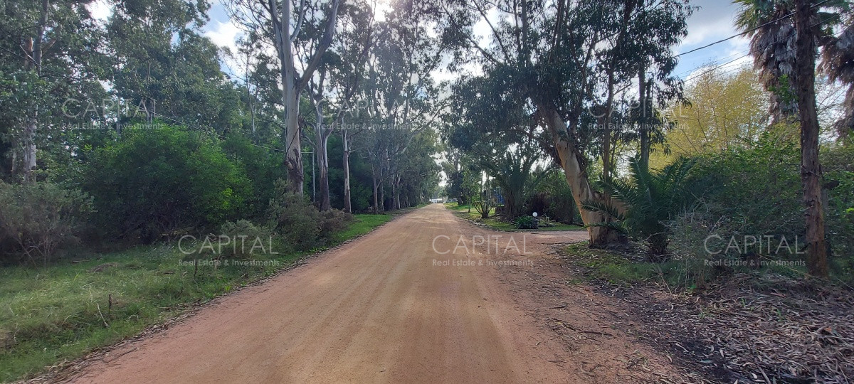 Terreno ID.31203 - Buen lote en Venta en la Barra el Tesoro 