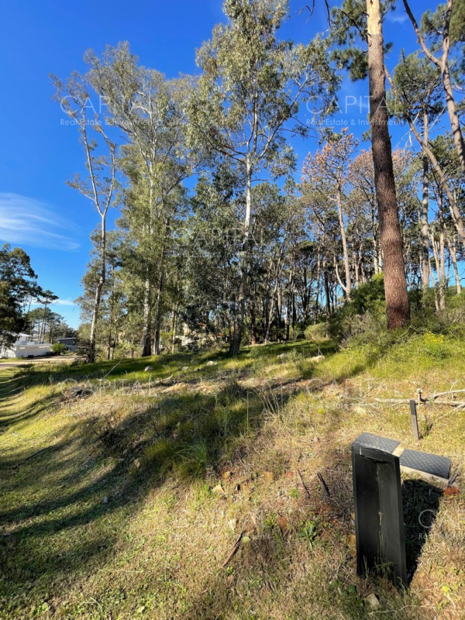 Terreno ID.40412 - Lote en venta en barrio cerrado Reserva Montoya en La Barra 