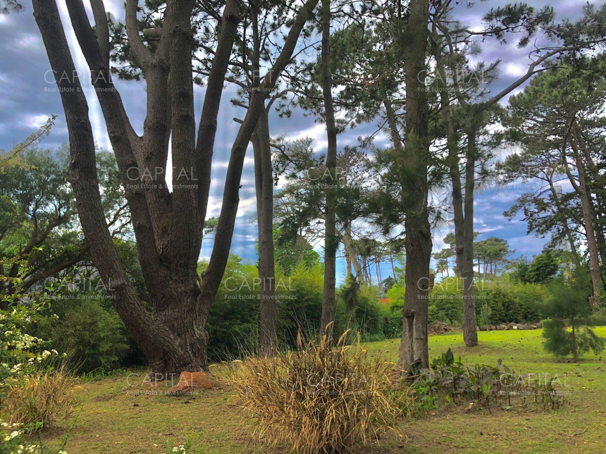 Terreno ID.33552 - Lote en venta en Playa Brava, Punta del Este