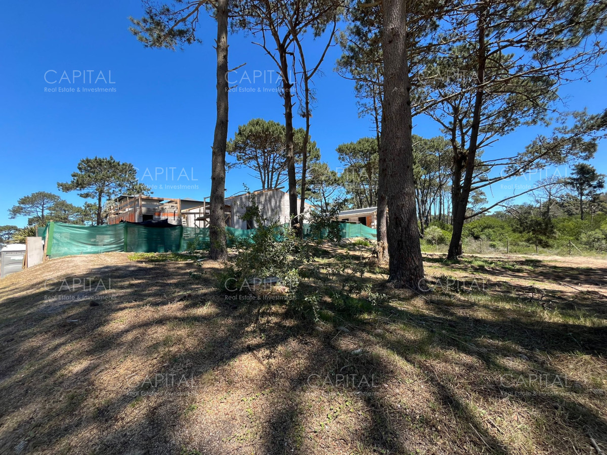 Terreno ID.37115 - Terreno Pinar Del Faro José Ignacio 