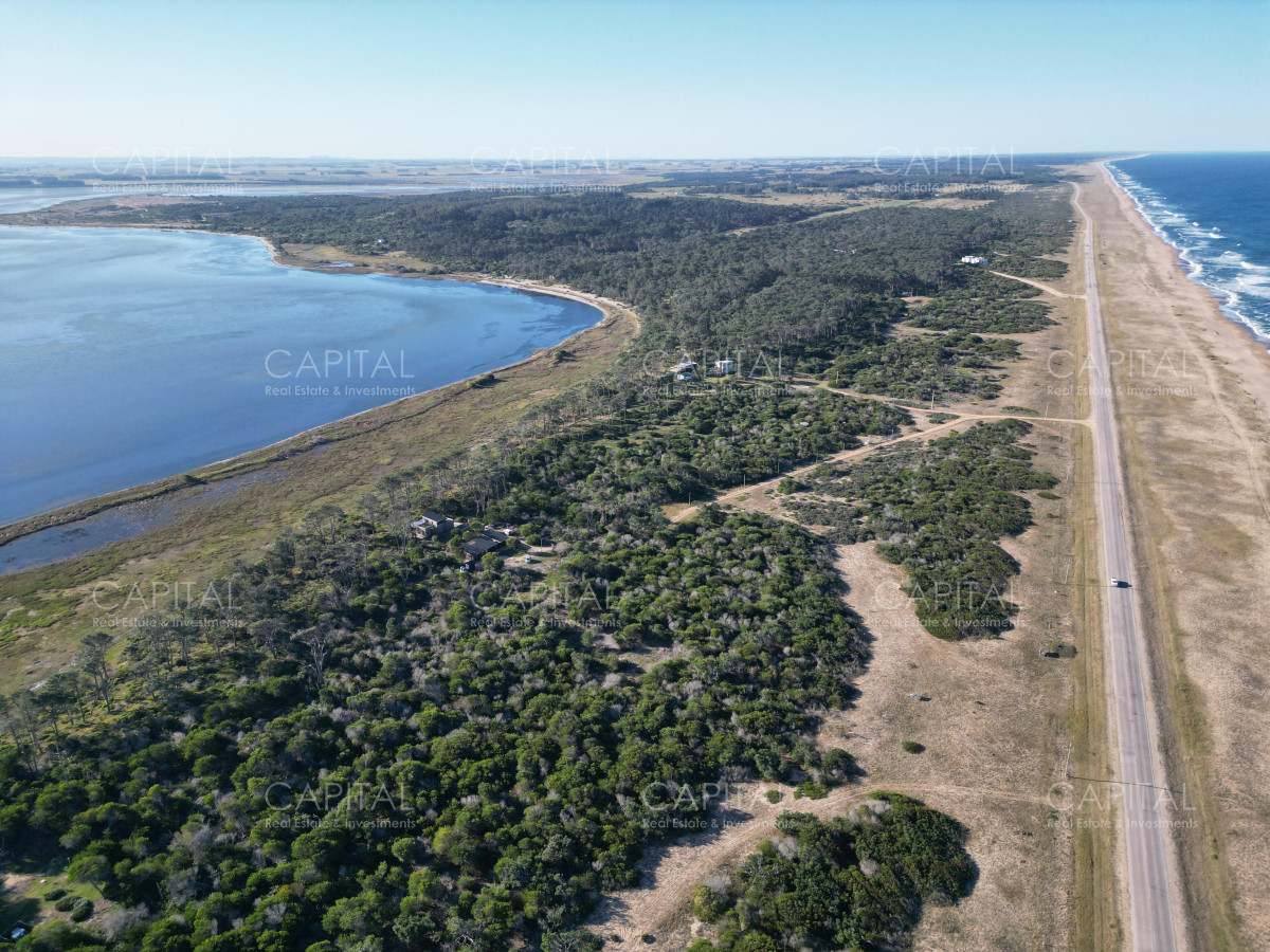 Terreno ID.38476 - Primera linea en el caracol