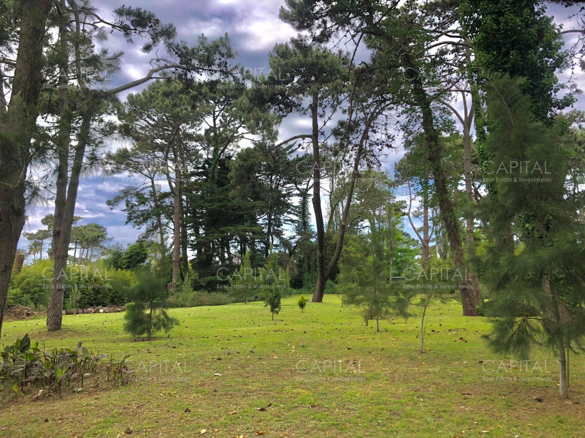 Terreno ID.33552 - Lote en venta en Playa Brava, Punta del Este