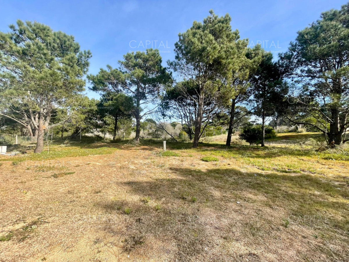 Terreno ID.32207 - Laguna Escondida barrio privado en Jose Ignacio 