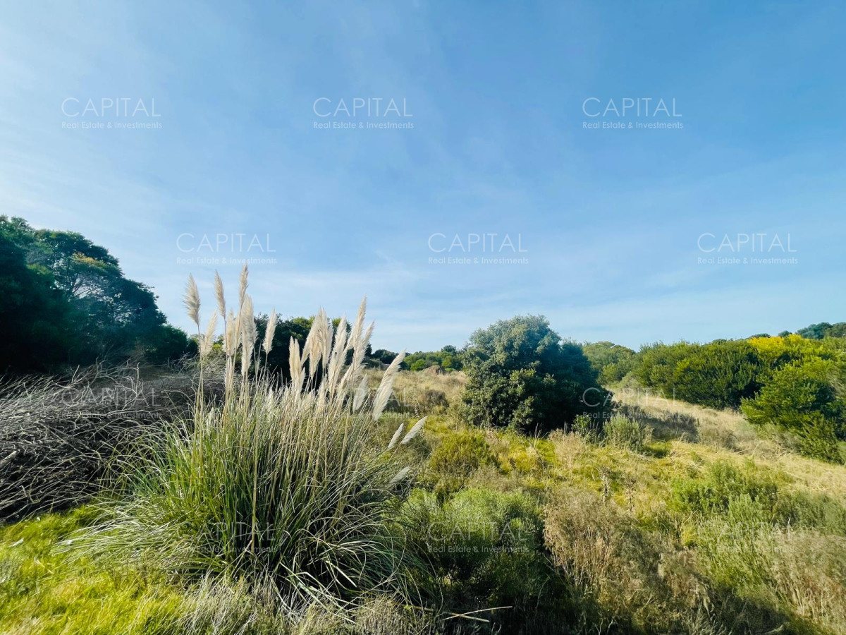Terreno ID.32227 - Lote en venta en Laguna Escondida José Ignacio 