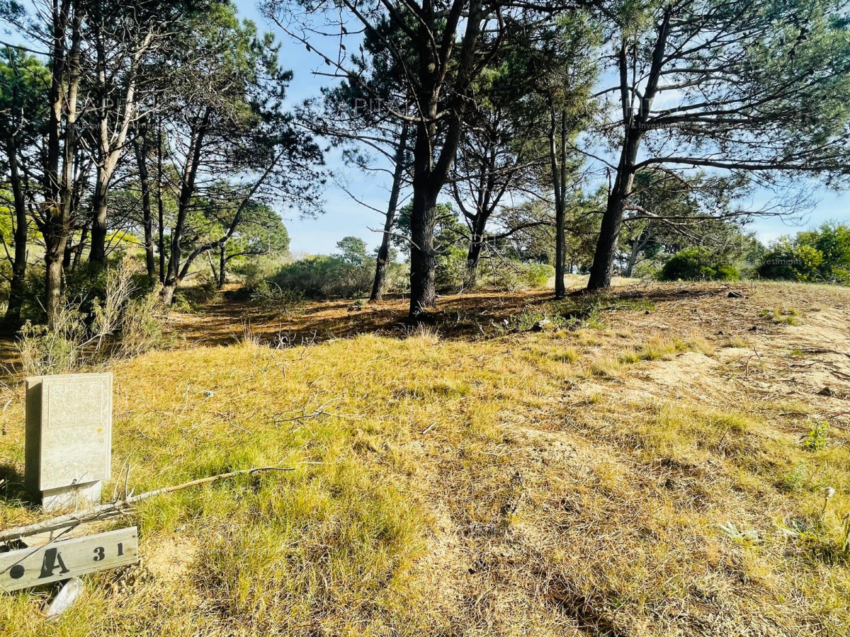 Terreno ID.32214 - Laguna Escondida barrio cerrado en Jose Ignacio 